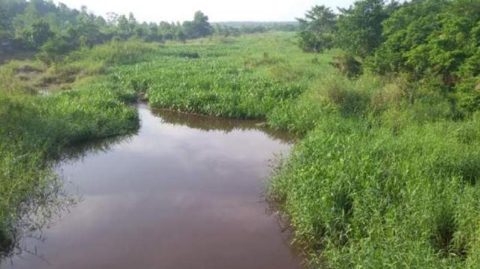 PT Arara Abadi Didesak Realisasikan Normalisasi Sungai Merawang di Pelalawan